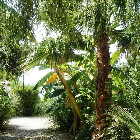 Villa Giardino Sul Mare - Solarium And Garden *